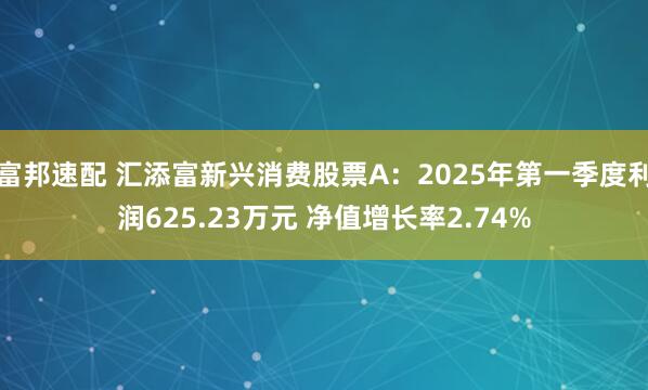 富邦速配 汇添富新兴消费股票A：2025年第一季度利润625.23万元 净值增长率2.74%