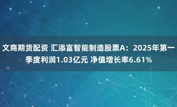 文商期货配资 汇添富智能制造股票A：2025年第一季度利润1.03亿元 净值增长率6.61%