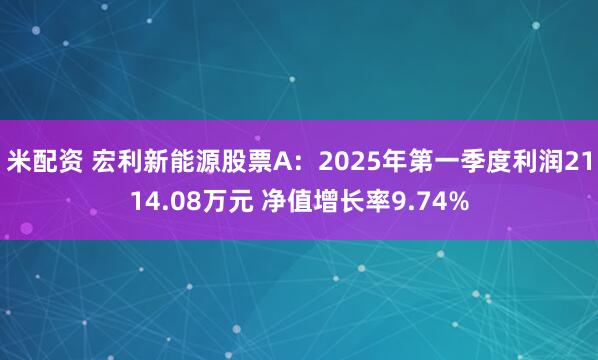 米配资 宏利新能源股票A：2025年第一季度利润2114.08万元 净值增长率9.74%