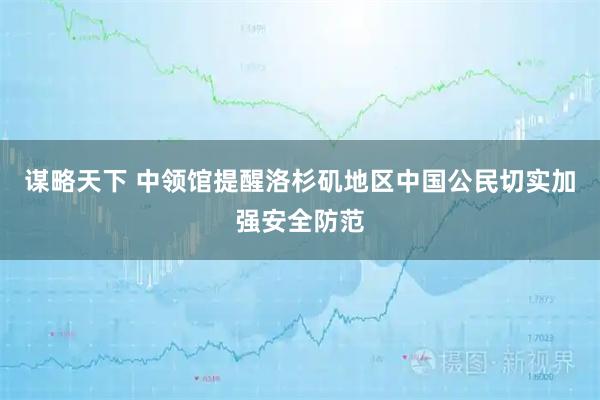 谋略天下 中领馆提醒洛杉矶地区中国公民切实加强安全防范