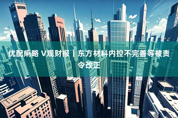 优配痢略 V观财报｜东方材料内控不完善等被责令改正