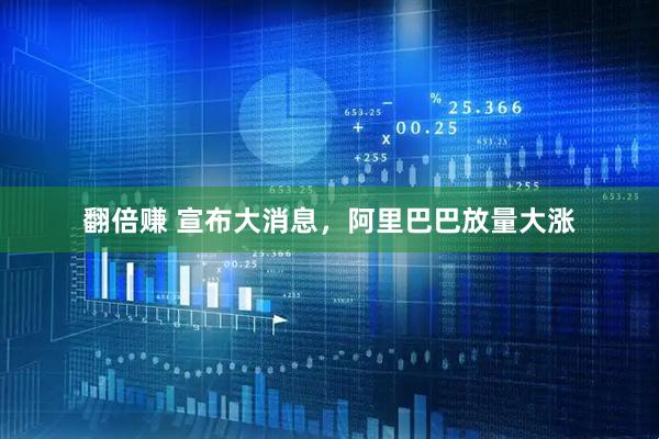 翻倍赚 宣布大消息，阿里巴巴放量大涨