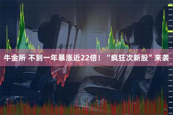 牛金所 不到一年暴涨近22倍！“疯狂次新股”来袭