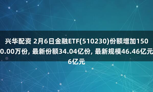 兴华配资 2月6日金融ETF(510230)份额增加1500.00万份, 最新份额34.04亿份, 最新规模46.46亿元