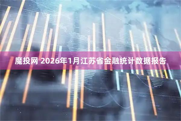 魔投网 2026年1月江苏省金融统计数据报告